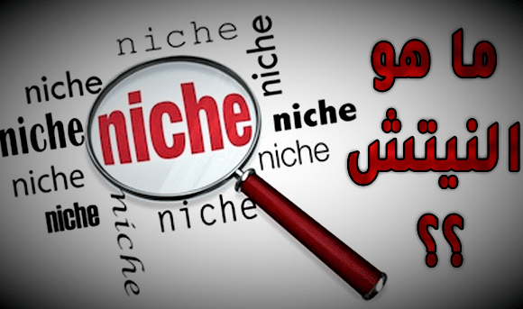 ما هو النيتش Niche؟ كيفية اختيار النيتش للقنوات والمواقع