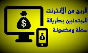 الربح من الأنترنت في مصر 360 دولار شهريا بدون رأس مال